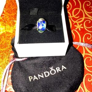 Nice Pandora Charm Bead Comes in a Pandora Pouch